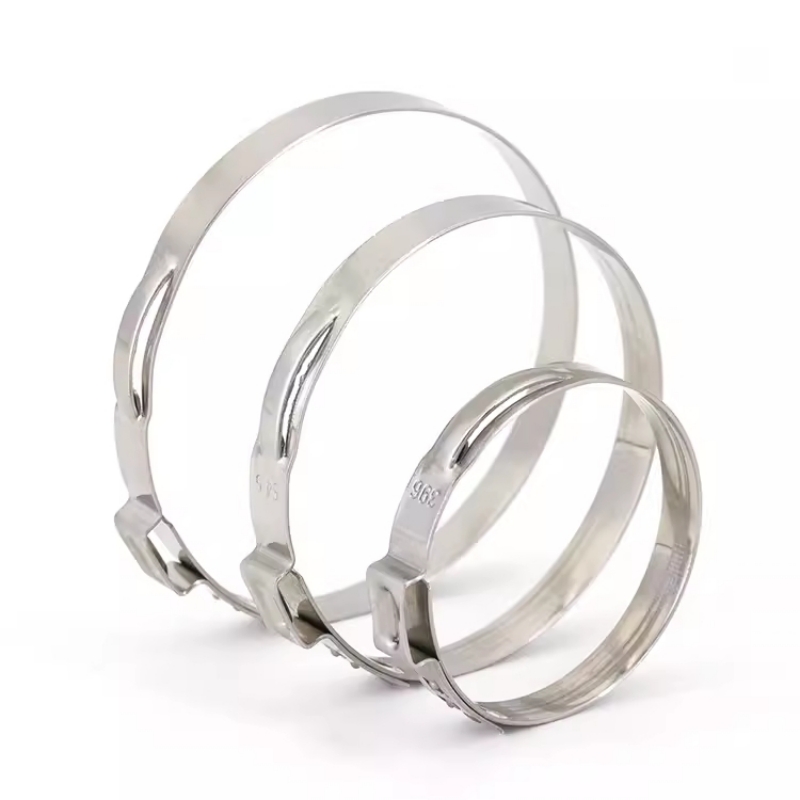 Hose Clamp Assorted - 5-20 szt. 5.3-159mm Zestaw obejm do