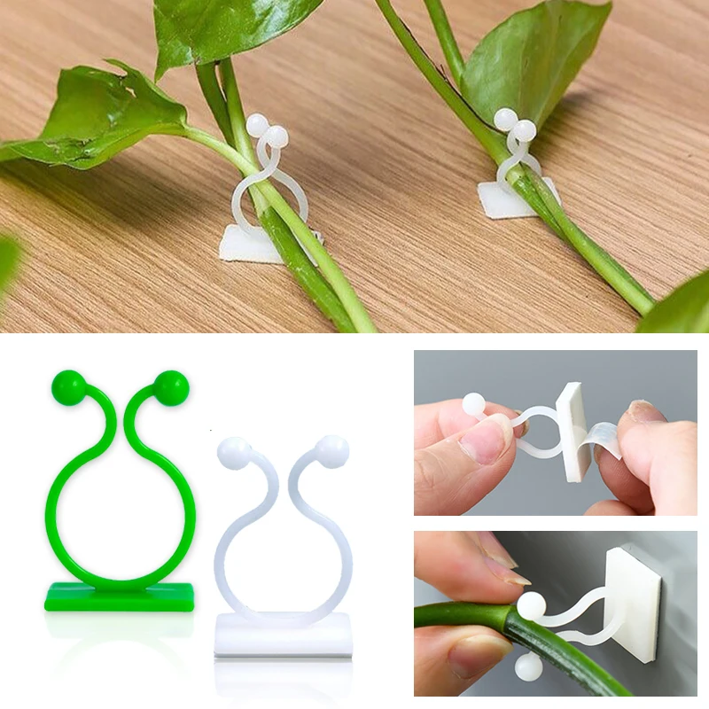 Wall Anchor Plastic - Samoprzylepne klipsy do roślin pnących, mocowanie